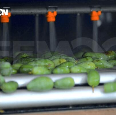 綠萌是芒果智能分選設備國家高新技術企業,對芒果采后處理提供全套解決方案。綠萌芒果分選機可進行大小重量分級。提供全自動芒果分選設備,芒果選果機,智能芒果分選機,全自動芒果分選機,芒果分級機,小型芒果分選機，芒果稱重分選機,芒果重量分選機,芒果大小分選機,芒果顏色分選機,配套芒果清洗機、芒果洗果保鮮機、芒果包裝機。