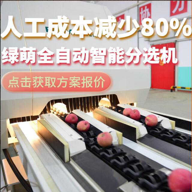 綠萌是水果智能分選設(shè)備國家高新技術(shù)企業(yè),對(duì)水果采后處理提供全套解決方案。綠萌水果分選機(jī)可進(jìn)行大小重量分級(jí)、外觀顏色分選、內(nèi)部品質(zhì)糖度檢測。提供全自動(dòng)水果分選設(shè)備,水果選果機(jī),智能水果分選機(jī),全自動(dòng)水果分選機(jī),水果分級(jí)機(jī),小型水果分選機(jī)，水果分級(jí)機(jī),水果稱重分選機(jī),水果重量分選機(jī),水果大小分選機(jī),水果顏色分選機(jī),水果糖度分選機(jī),配套水果清洗機(jī)、水果洗果保鮮機(jī)、水果包裝機(jī)、水果消毒滅菌殺菌機(jī),水果打蠟機(jī)。更多水果分選方案報(bào)價(jià),小型水果選果設(shè)備價(jià)格、水果分級(jí)機(jī)怎么樣、口碑好質(zhì)量好的水果選果機(jī)、了解高性能水果分選機(jī)多少錢,咨詢客服免費(fèi)獲取