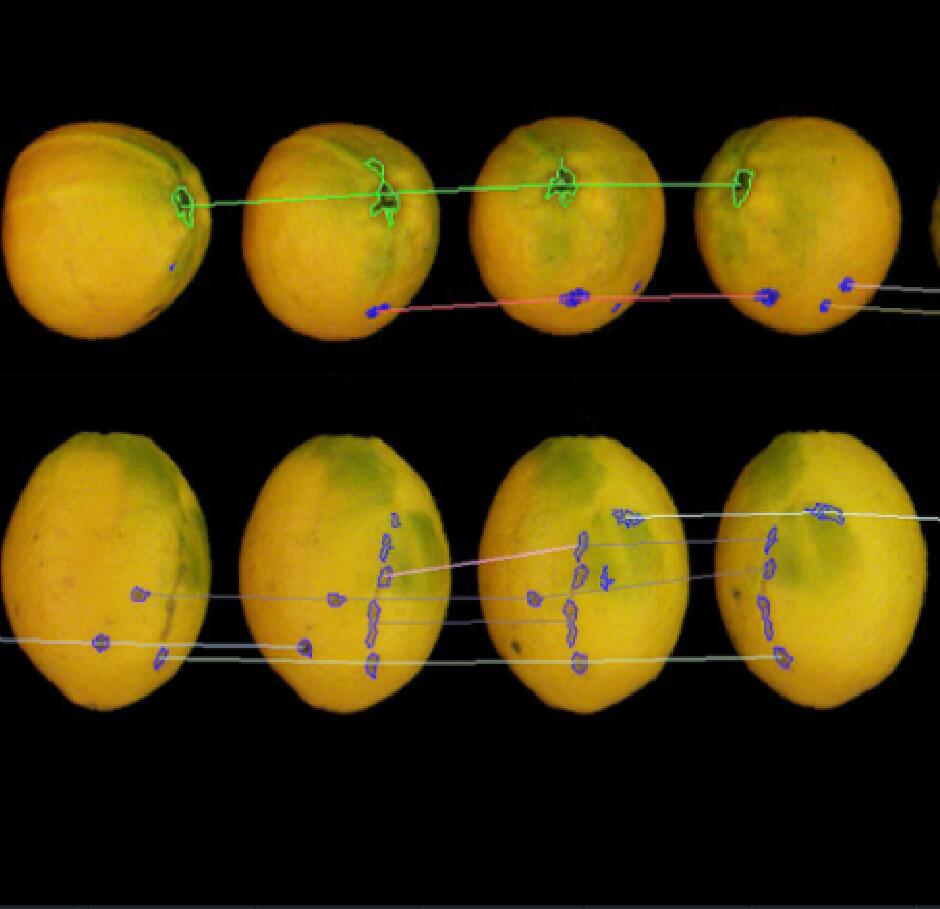 綠萌是果蔬智能分選設(shè)備國(guó)家高新技術(shù)企業(yè),對(duì)果蔬采后處理提供全套解決方案。綠萌果蔬分選機(jī)可進(jìn)行大小重量分級(jí)、外觀顏色分選、內(nèi)部品質(zhì)糖度檢測(cè)。提供全自動(dòng)果蔬分選設(shè)備,果蔬選果機(jī),智能果蔬分選機(jī),全自動(dòng)果蔬分選機(jī),果蔬分級(jí)機(jī),小型果蔬分選機(jī)，果蔬分級(jí)機(jī),果蔬稱重分選機(jī),果蔬重量分選機(jī),果蔬大小分選機(jī),果蔬顏色分選機(jī),果蔬糖度分選機(jī),配套果蔬清洗機(jī)、果蔬洗果保鮮機(jī)、果蔬包裝機(jī)、果蔬消毒滅菌殺菌機(jī),果蔬打蠟機(jī)。更多果蔬分選方案報(bào)價(jià),小型果蔬選果設(shè)備價(jià)格、果蔬分級(jí)機(jī)怎么樣、口碑好質(zhì)量好的果蔬選果機(jī)、了解高性能果蔬分選機(jī)多少錢(qián),咨詢客服免費(fèi)獲取