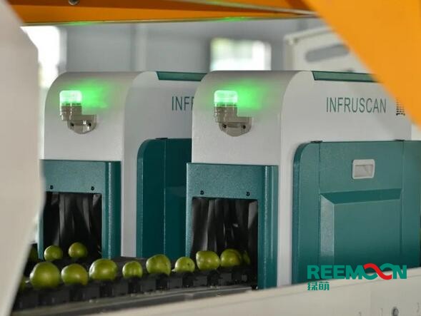 李子分選線綠萌李子分選線采用專業光譜儀對李子進行多方位檢測，可對李子的外部顏色和內部酸甜度進行精準分選，從而對李子外部、內部做一個分級，確保品牌的穩定性。重慶仙桃李種植歷史悠久，且政府為大力支持仙桃李的發展，不斷優化仙桃李的種植技術，2020年烏牛村仙桃李預計產果35萬余斤，好的李子需要好的銷售，其中采后