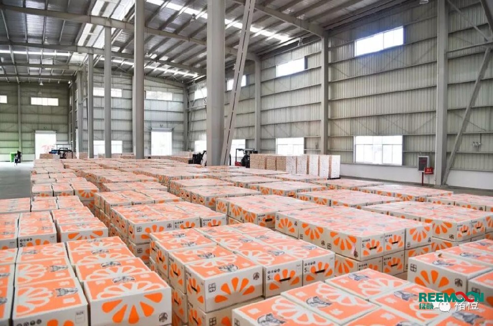 今日寒露，世間萬物都回到了秋天的顏色。“寒露”時節起，雨水漸少，天氣干燥，晝熱夜涼。宜多吃橙子。告訴大家一個好消息，實建褚橙發貨啦！江西綠萌科技控股有限公司為褚橙品質和效率保駕護航！ 從采摘到包裝發貨，一系列認真對待實建褚橙的剪影，好果，都值得好好對待。 褚橙品質 綠萌助力&nbsp