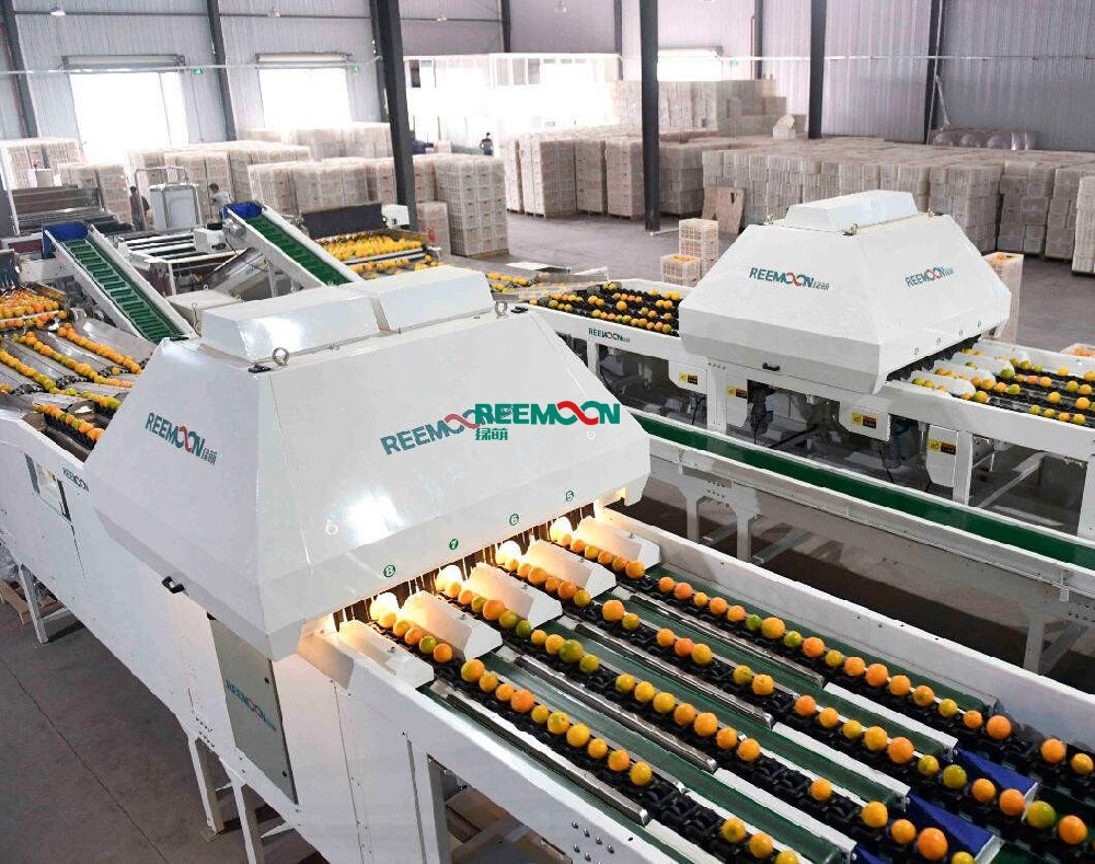 信豐首個博士后創新實踐基地落戶綠萌信豐首個博士后創新實踐基地落戶綠萌！綠萌的發展離不開中國共產黨和國家的關懷以及地方政府的支持，綠萌始終心懷感恩，努力發展自己、提高自己以回饋國家，回饋社會。公司從2011年起和華中農業大學開展產學研合作，此后近10年一直和華中農業大學保持深度地合作；2018年，正式引進鄧秀新