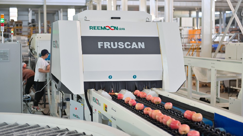 青怡蘋果從創立初，致力于高端品牌營運，重視品控。是OLE、BLT、麥德龍、步步高、天天果園等商超的戰略合作伙伴。據統計，蘋果庫存偏高，價格走勢持續走低，無論蘋果市場如何動蕩，青怡蘋果的銷售從未有過絲毫的遲緩，甚至品牌聲望還在逐年累積。青怡蘋果能抓住優質市場紅利，在蘋果行情起伏的市場行情下，是什么支