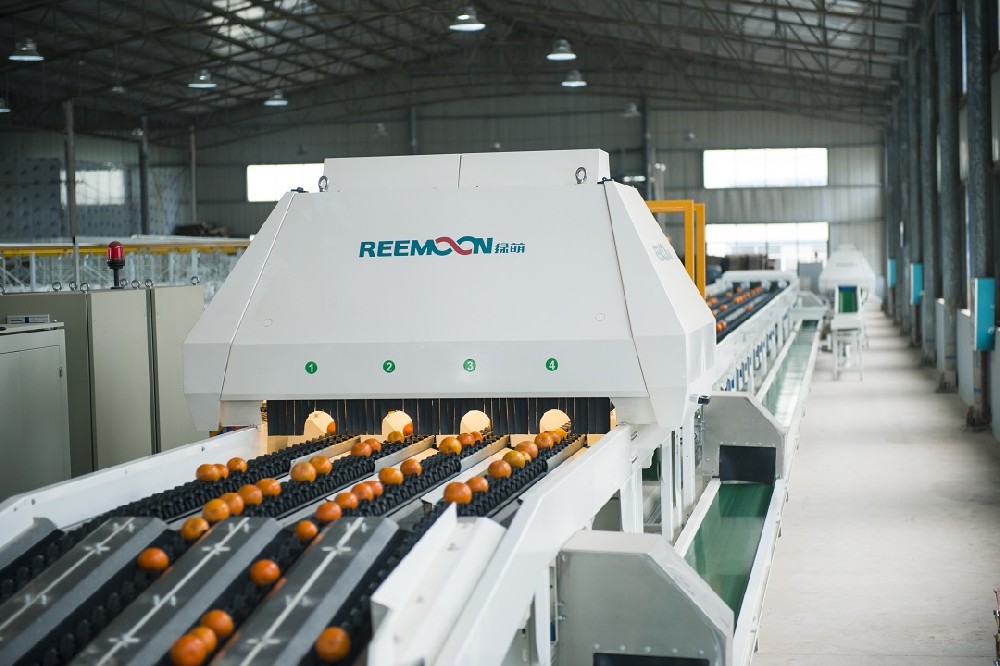 云南新平縣因獨到的立體氣候條件，“一年四季水果不斷”。近年來借勢鄉村物流體系，解決了農產品因流通不暢而滯銷的問題，讓農產品順暢進城。在當地政府的支持下，引入電商、發布采購指南、多次舉辦產銷對接活動等，讓產品不愁賣，這也極大提升了農戶種植信心，目前，新平柑桔種植面積超過了12萬畝。隨著柑桔產業的快速增長