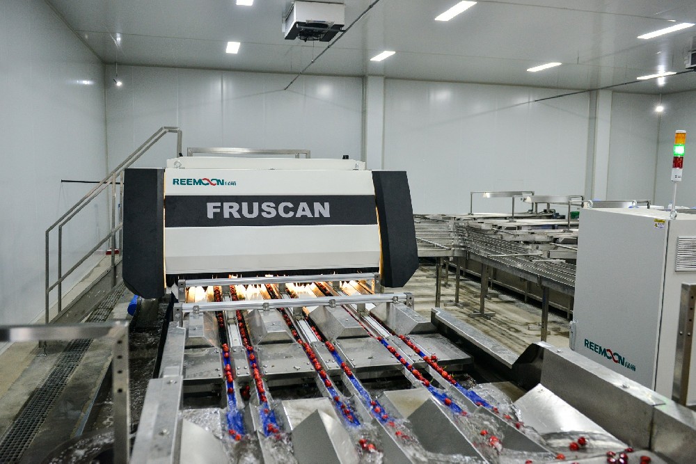 金禾天潤致力打造國內一流的農業品牌，鄉村振興戰略為中國農業發展提供了全新的機遇，在全面實施鄉村振興戰略的引領下，金禾天潤已經發展為一家專業從事果業全產業鏈生產經營的現代農業企業。實現農業品牌定位，品種、品質、品牌、產業鏈發展缺一不可，金禾引進先進技術培育優質品種，開展優質大櫻桃規?；?、產業化、數字化