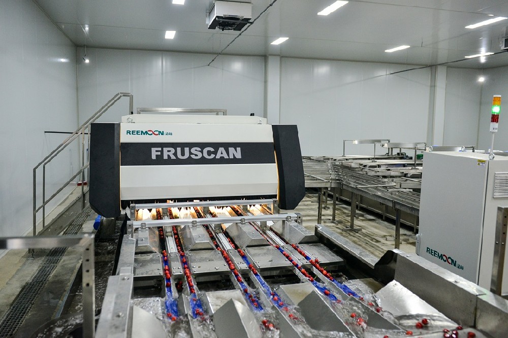 2021世界水果產(chǎn)業(yè)博覽會暨世界水果產(chǎn)業(yè)大會（FRUIT EXPO 2021）將于9月24-26日在廣州·廣交會展館隆重召開，與廣大業(yè)界同仁一起洞悉行業(yè)新風向，探索產(chǎn)業(yè)發(fā)展新模式，幫助參展企業(yè)增強品牌影響力，挖掘新市場、新商機，共同打造一場精彩紛呈的果業(yè)盛筵。長期以來，F(xiàn)RUIT EXPO組委會一直致力于為大家?guī)韺I(yè)、高端、國際化的