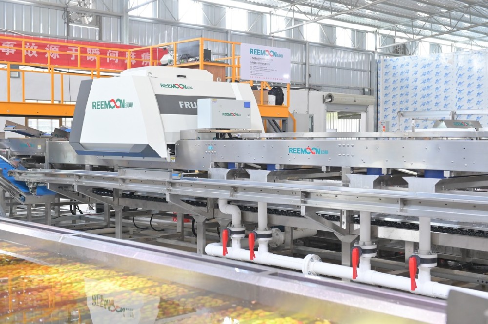 荔枝產(chǎn)業(yè)是廣東農(nóng)業(yè)的傳統(tǒng)優(yōu)勢(shì)產(chǎn)業(yè)，種植面積全國(guó)第一，穩(wěn)定在410萬(wàn)畝，帶動(dòng)從業(yè)人員超過(guò)180萬(wàn)人，已成為富民興村的重要“利器”。圖來(lái)源于網(wǎng)絡(luò)廣東荔枝能夠獲得國(guó)內(nèi)外消費(fèi)者的喜愛(ài)，除了自身的甜美味道之外，還與廣東省各級(jí)政府的有力開(kāi)拓、大力支持、堅(jiān)強(qiáng)領(lǐng)導(dǎo)密不可分。近年來(lái)，為不斷增強(qiáng)廣東荔枝市場(chǎng)的拓展能力