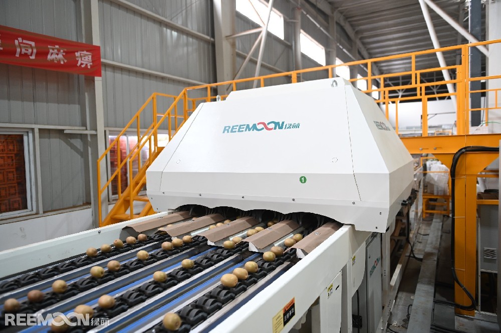 隰有萇楚，猗儺其實。在北緯30度的成都浦江縣，近10萬畝的獼猴桃在風中隨枝擺動，仿佛在招手攬客。得天獨厚的生態(tài)環(huán)境，吸引了不少果蔬“收集”者的落戶，新綠之源便是其中之一。在占地面積約60 畝、投資 1.1 億元的成都新綠之源廠房內，獼猴桃在綠萌研發(fā)的智能分選線上穿梭，每個獼猴桃都要經(jīng)過全身“體檢”分級，不同等級