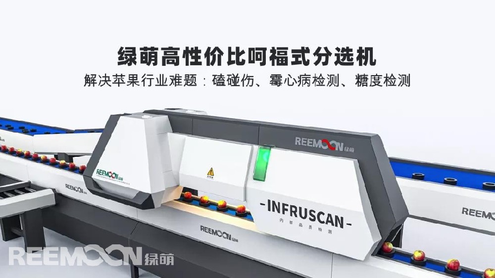 一天一蘋果，疾病遠離我。作為一種常見的大眾水果，蘋果在中國的栽培歷史超過2000年。在這歷史的長河里，涌現(xiàn)了一大批內外兼修的優(yōu)質果品，如威海蘋果，肉質細膩、質脆、酸甜適口，每100克果肉維生素C含量達到24毫克，糖度達到18、酸度14.8，并富含硒、鋅等多種人體健康必須的微量元素，備受客商追捧。好蘋果是種出來的，也