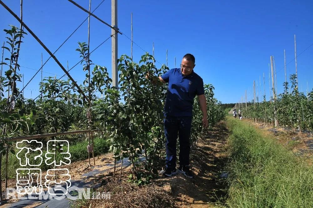 1638515776611071.jpg 王炳海在查看新品種苗木的質量.jpg