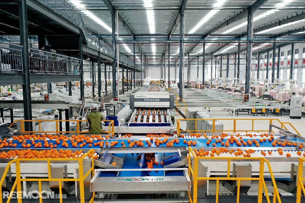 冬至前后，貢柑吃個夠！吃貨阿力踩點購入數(shù)箱德慶特級貢柑，“10元一個的特級德慶貢柑果然與眾不同，比大小、論顏值、拼口感，都是一流”，阿力直言。從今年7月開始，德慶縣就系統(tǒng)部署貢柑營銷，成為全省率先啟動“12221”市場體系建設(shè)工作的柑橘縣域之一。經(jīng)過半年蓄力，致力于規(guī)模化、標準化、品牌化、高質(zhì)化發(fā)展的德慶貢