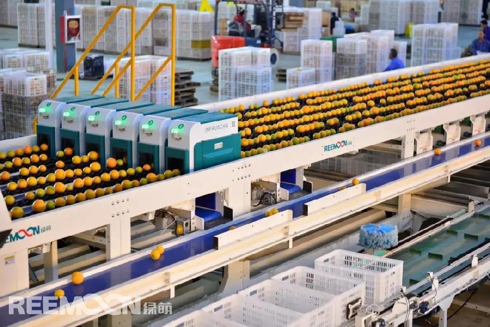 如何降本增效,一直是企業(yè)最為關(guān)注的話題。食材損耗高、人工成本高、信息化程度低、賣價低、品質(zhì)參差不齊等依然是農(nóng)產(chǎn)品市場的痛點。如何消除這些痛點？企業(yè)又如何數(shù)字化轉(zhuǎn)型升級？這些問題一直困擾著我們......下面將帶大家一起了解一下江西綠萌科技控股有限公司，他是如何賦能企業(yè)轉(zhuǎn)型升級，通過GLOBALGAP（歐盟良好農(nóng)業(yè)規(guī)