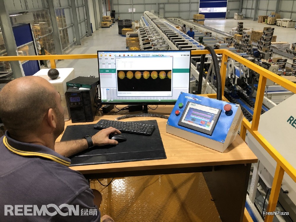 泰國的山竹、越南的荔枝、菲律賓的牛油果、韓國的小番茄……江西綠萌科技控股有限公司（下稱“江西綠萌”）的分揀設備，隨著中國RCEP貿易協定的生效，在海外農場主的“朋友圈”刷屏。綠萌設備在智利獼猴桃上應用效果顯著中國分選設備熱銷海外在菲律賓棉蘭老島，這里是牛油果種植樂園。都樂作為向中國市場輸入菲律賓牛油果的
