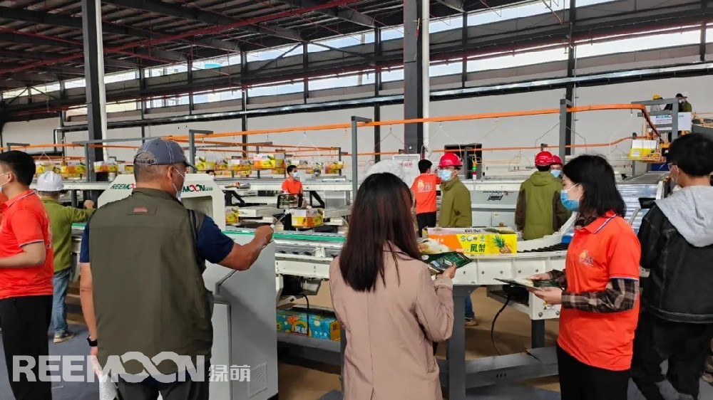 機(jī)器人上料、水洗、烘干、內(nèi)部品質(zhì)檢測、裝箱……伴隨著菠蘿分選設(shè)備 “繁忙喧鬧”的運行景象，2022年廣東“菠蘿的海”百千田頭直播開鑼暨全球采購商大會在廣東徐聞RECP菠蘿國際交易中心同步進(jìn)行。廣東省徐聞縣地處中國大陸最南端，被稱為“中國菠蘿之鄉(xiāng)”， 有“菠蘿的海”美譽，全縣種植面積達(dá)35萬畝，年產(chǎn)量約70萬噸，被