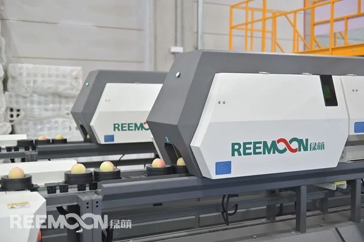 今年的水蜜桃市場行情很好，同期增長20%…….奉化“歡喜奉桃”品牌運營方奉化農商發展集團市場部經理陳盼笑意盈盈地說道。浙江省寧波市奉化區的水蜜桃種植面積有約5萬畝，其中6000余畝優質產區作為“歡喜奉桃”指定合作基地。面對水蜜桃產業競爭日趨白熱化，奉化水蜜桃經營薄弱、品牌渠道混亂的短板越發凸顯，尤其是面對桃子