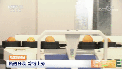 連線采訪＋現場直播7月20日CCTV農業農村頻道、央視頻APP深度報道湖北老河口黃桃產業發展情況綠萌作為果蔬智能科技分選企業憑借AI（人工智能）算法以及光譜技術為老河口黃桃產業賦能而亮相央視在此之前綠萌因為中國果蔬采后標準建設賦能已經多次亮相于央視黃桃作為老河口的“富農果”，身肩重任。全市3.5萬畝黃桃如何打造價格