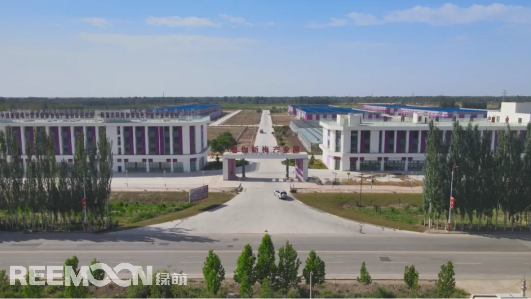 1663032743469329.png 西梅產(chǎn)業(yè)園.png