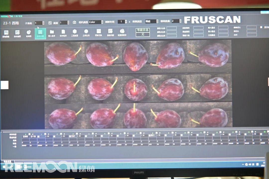 1663032827148312.jpg 西梅視覺.jpg