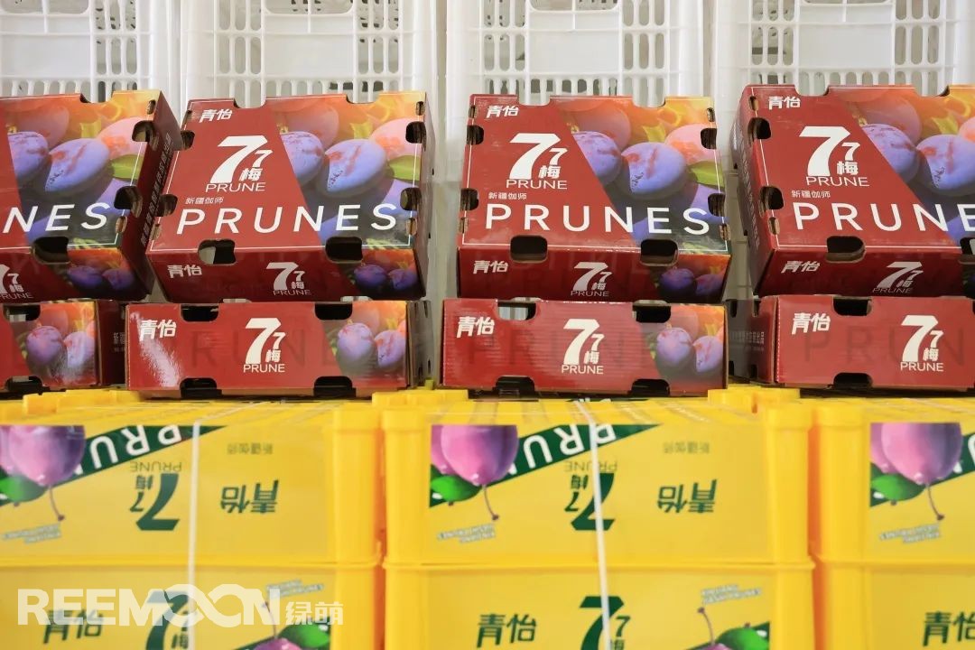 1663032939111984.jpg 77西梅.jpg