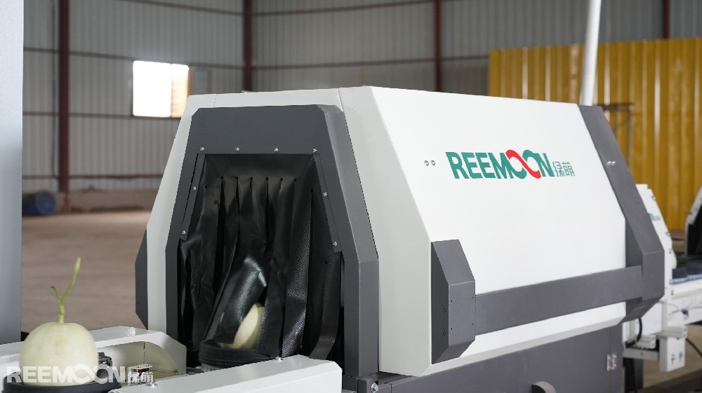 仲夏時節(jié)，花香四溢，瓜果飄香。這一場景不是在雨水充沛的南方或是土壤肥沃的東北，而是茫茫大戈壁之中，這里就是甘肅省玉門市玉瓏種植農(nóng)民專業(yè)合作社的種植基地。每年超過24000噸的優(yōu)質(zhì)蜜瓜從這里種植生產(chǎn)出來，銷往北京、上海、杭州、廣州、長沙、武漢、南昌等全國20多個省區(qū)的核心城市。玉門市玉