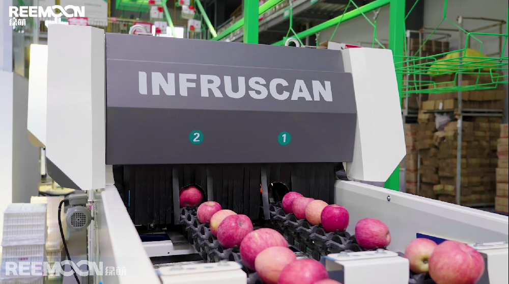 陜西洛川是中國蘋果主要產(chǎn)地之一，洛川縣海拔較高，光照充足，晝夜溫差大，雨熱同季，是符合蘋果最適宜生產(chǎn)區(qū)7項(xiàng)氣象指標(biāo)要求的蘋果優(yōu)生區(qū)，出產(chǎn)的洛川蘋果具有肉質(zhì)細(xì)嫩致密、汁多松脆、酸甜適口等特征，“洛川蘋果”也被列入國家農(nóng)產(chǎn)品地理標(biāo)志登記保護(hù)。近年來，電商平臺發(fā)展迅速，短視頻直播逐漸成為水果銷售