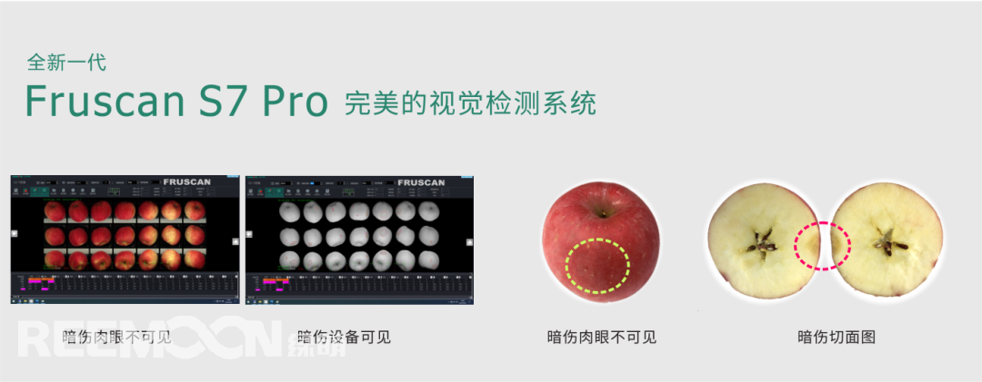 視覺系統 - 副本.png