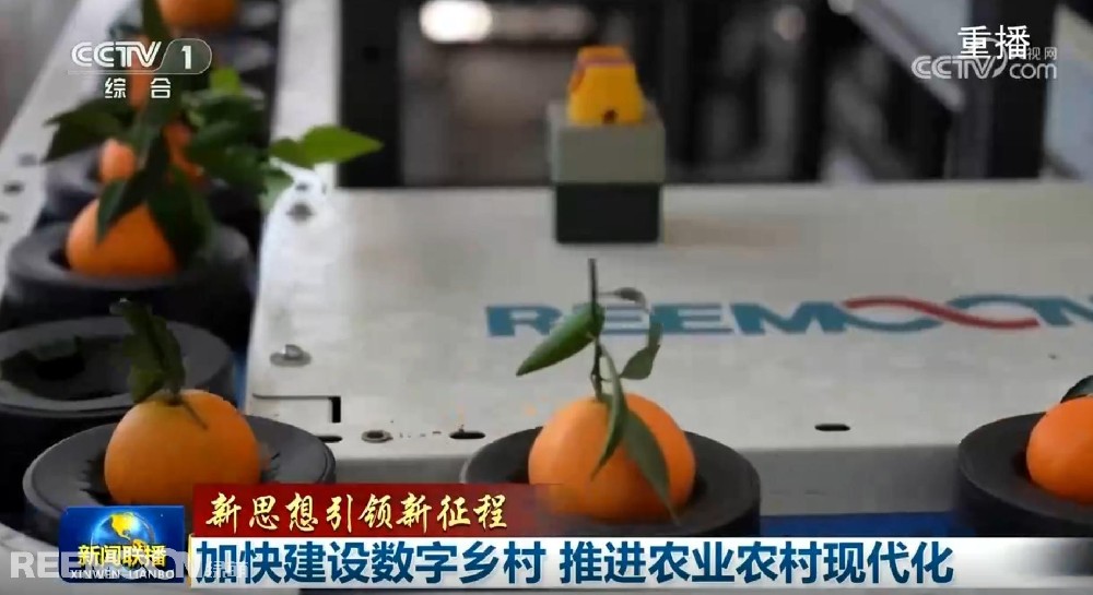 又又又上央視了2025開年見喜綠萌在半月之內兩次登上《新聞聯播》2025年1月1日央視《新聞聯播》聚焦《甘肅省天水市麥積區南山花牛蘋果》其中一組畫面中綠萌蘋果雙通道分選線上鏡這條分揀線對蘋果的大小、色澤、瑕疵、糖度、霉心等指標進行精準檢測分級助推花牛蘋果做大做強助力果農增收致富10