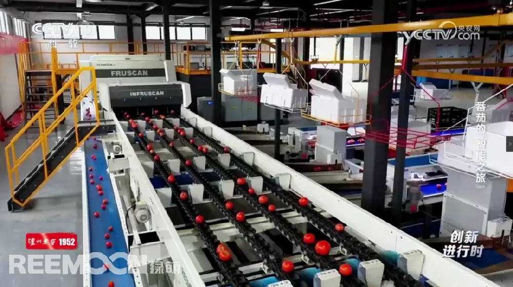 3月11日CCTV10科教頻道《創新進行時》欄目重磅播出專題片《番茄的“智能之旅”》深度報道位于溫州市蒼南縣番茄分揀中心的綠萌四通道AI分選線這條集重量分級、外觀色澤瑕疵識別內部品質無損檢測于一體的AI分選線以高效精準的采后處理流程揭示了現代農業的“科技含量”讓我們跟隨央視鏡頭，一探究竟！
