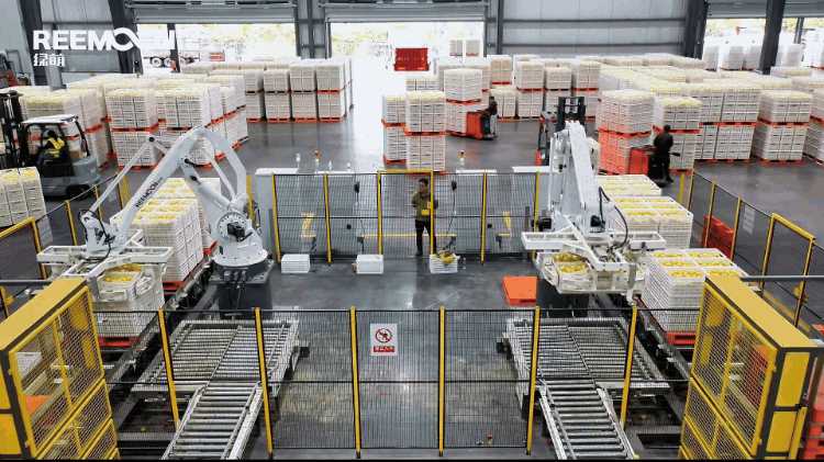 自動(dòng)上料 (1) - 副本.gif