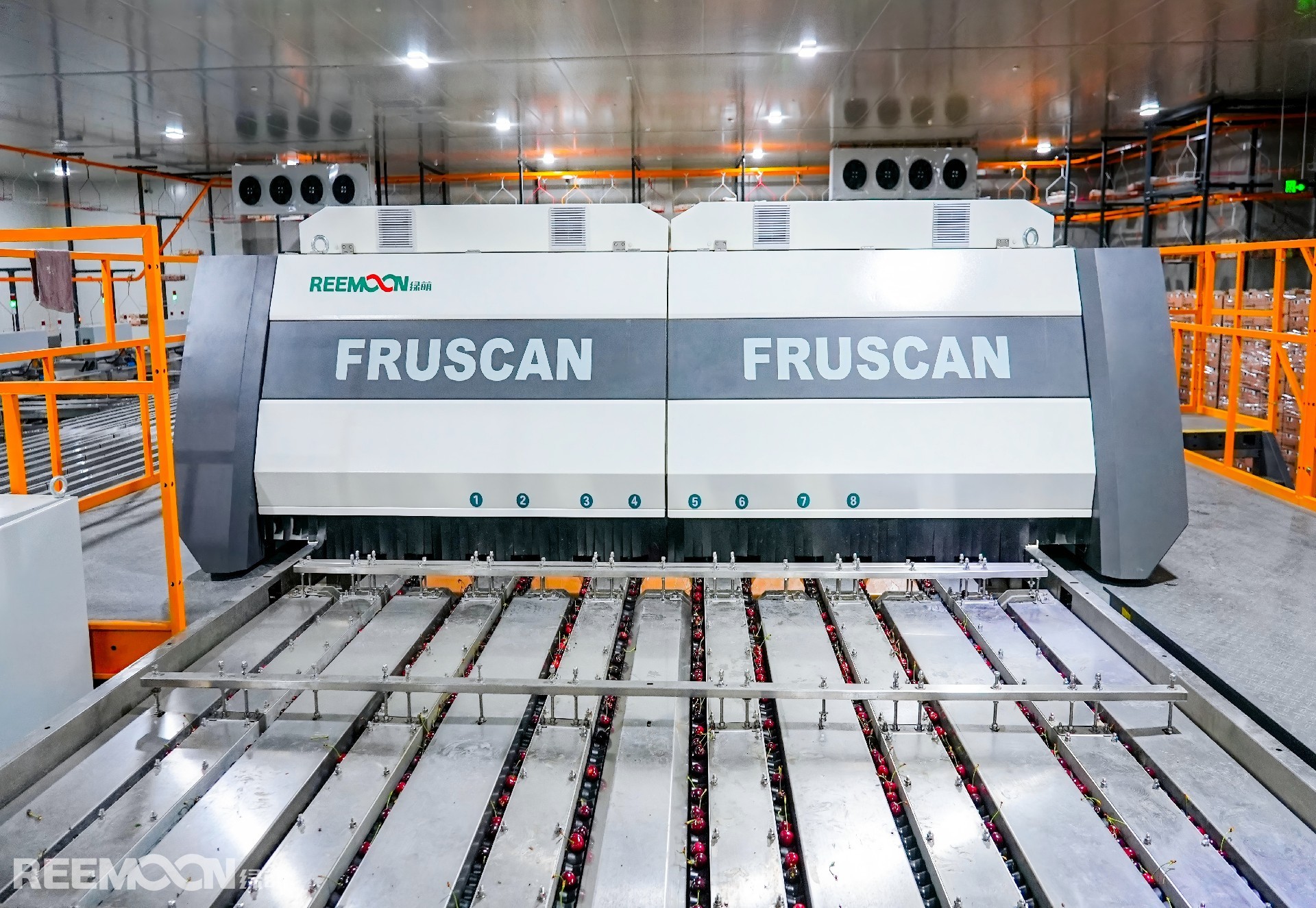 1759976547127196.jpg 車厘子.jpg