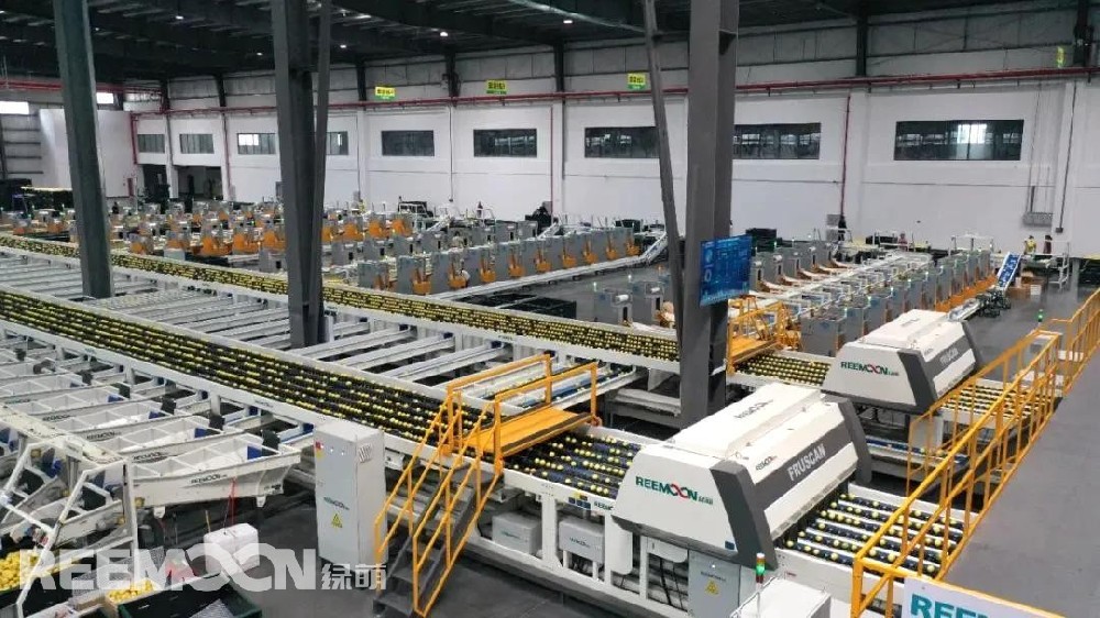 近日，蜜雪冰城湖北宜昌某門店因操作不規范陷入爭議。對此，蜜雪冰城回應：涉事門店屬違規操作，總部要求鮮果現切現用、剩余廢棄。網友紛紛表示“這次原諒你，下次不許了”“退至我身后”“小雪用的居然是真檸檬，我更愛了”……在這場爭議中，越來越多網友開始關注一個核心問題：蜜雪冰城的檸檬到底是不是真材實料？雪王究